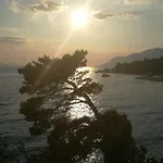 Sea Paradise