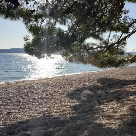 Sea Paradise