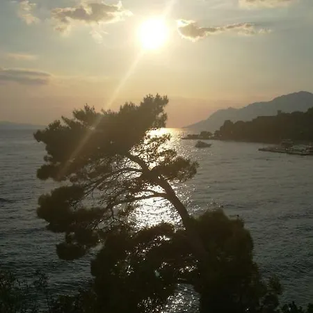Sea Paradise